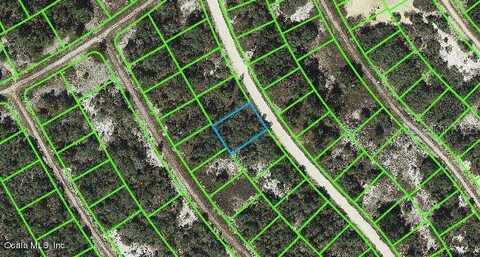 314 Wildwood DRIVE, LAKE PLACID, FL 33852