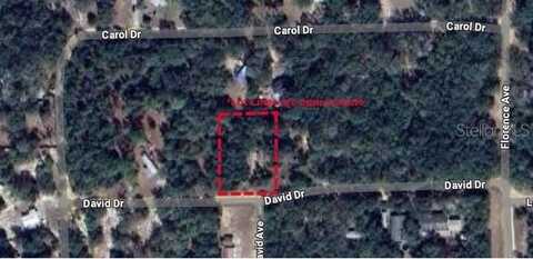 111 DAVID DRIVE, INTERLACHEN, FL 32148