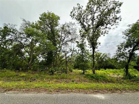 Lot 2 GUAVA PL, OCKLAWAHA, FL 32179