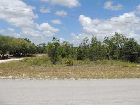 13591 NE 51ST LANE, WILLISTON, FL 32696