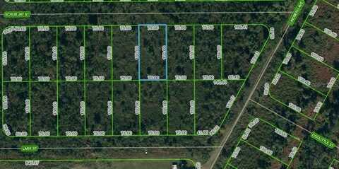 1431 SCRUB JAY STREET, LAKE PLACID, FL 33852