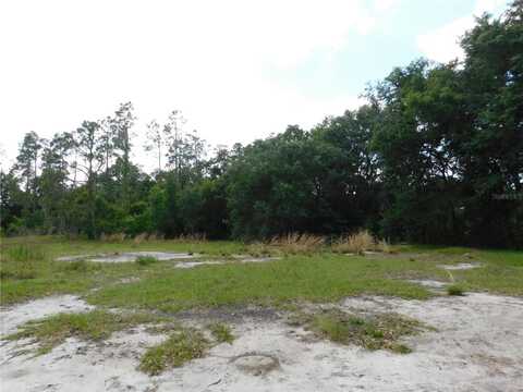 118 ORCHIDGROVE LANE, DOVER, FL 33527