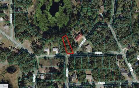 Tbd SE 59 STREET, OCKLAWAHA, FL 32179