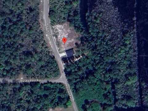 23 MALAUKA PASS, OCKLAWAHA, FL 32179