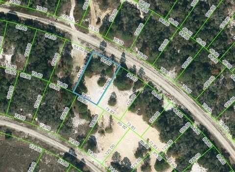 463 MORNINGSIDE DRIVE, LAKE PLACID, FL 33852