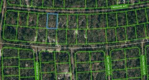 357 PARADISE AVENUE, LAKE PLACID, FL 33852