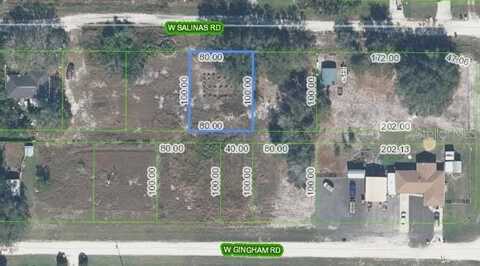 1713 W SALINAS ROAD, AVON PARK, FL 33825