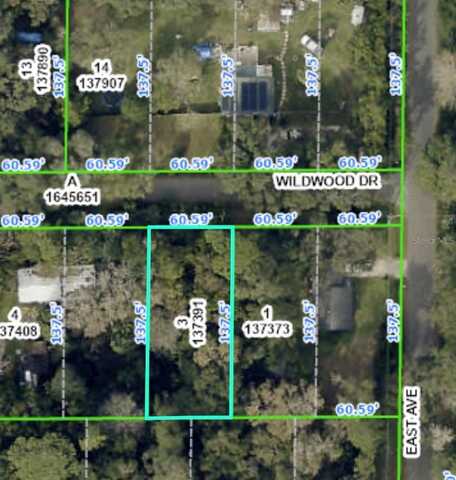 20128 WILDWOOD DRIVE, BROOKSVILLE, FL 34601