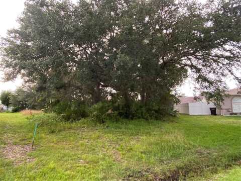 507 MAGPIE LANE, KISSIMMEE, FL 34759