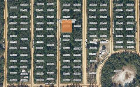 Tbd NEILSEN AVENUE, INTERLACHEN, FL 32148