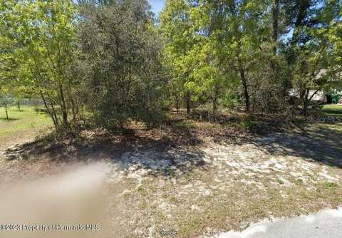 24 STATICE COURT, HOMOSASSA, FL 34446