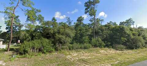 0000 SW 165TH LOOP, OCALA, FL 34473