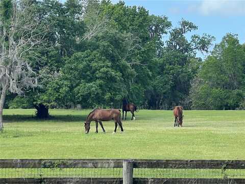 W 329 HIGHWAY, REDDICK, FL 32686