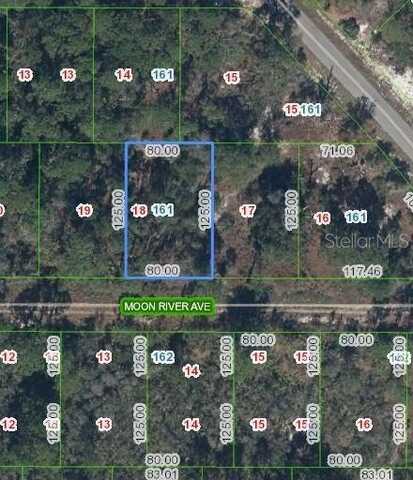 344 MOON RIVER AVENUE, LAKE PLACID, FL 33852