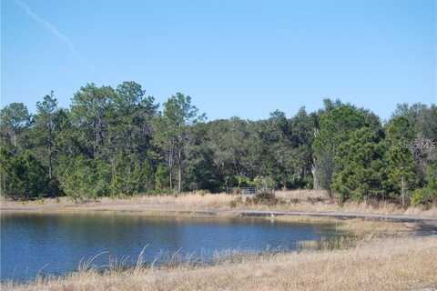 0 FISHER PASS, OCKLAWAHA, FL 32179