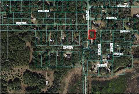 NE 160TH STREET, CITRA, FL 32113