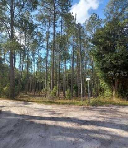 Tbd SW CORNER SW95 AVE\SW 158 LN, DUNNELLON, FL 34432