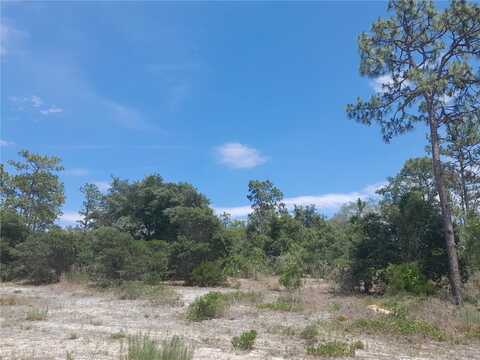 2211 SE STATE ROAD 121, MORRISTON, FL 32668