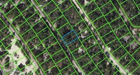 523 Dreamland DRIVE, LAKE PLACID, FL 33852