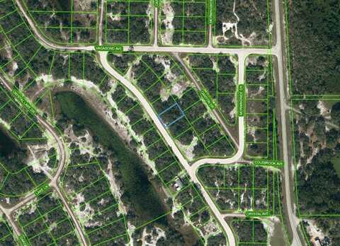 243 LAKELAND DRIVE, LAKE PLACID, FL 33852