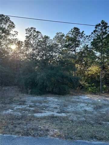 SW SOUTH WIND COURT, DUNNELLON, FL 34431