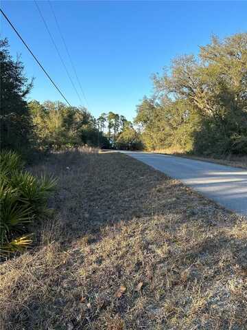 SW SOUTH WIND COURT, DUNNELLON, FL 34431