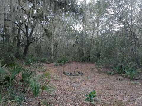 00000 NE 213 PLACE, FORT MC COY, FL 32134