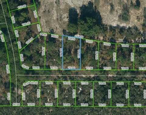 136 CLAVERLAND DRIVE, LAKE PLACID, FL 33852