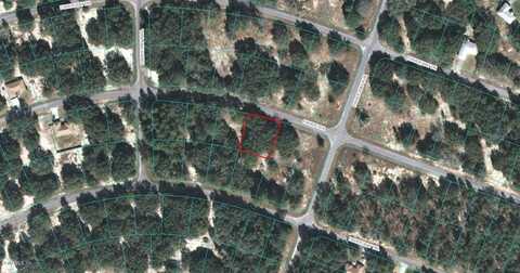 00 FISHER TERRACE, OCKLAWAHA, FL 32179