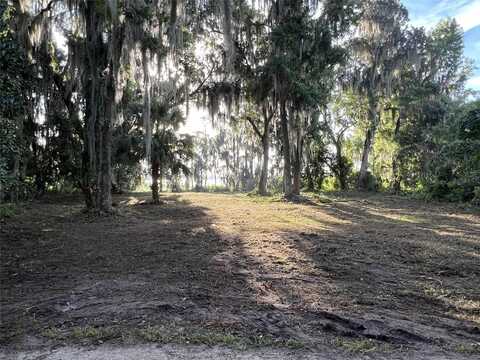 20936 NE 132 AVENUE, WALDO, FL 32694