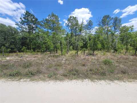 Lot 6 SW 121ST TERRACE, DUNNELLON, FL 34432