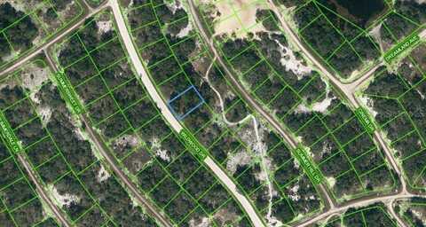 315 WILDWOOD DRIVE, LAKE PLACID, FL 33852