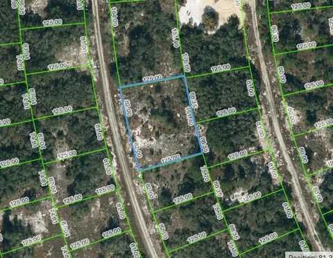 223 BLUE SKY DRIVE, LAKE PLACID, FL 33852