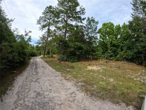 43928 STERLING ROAD, PAISLEY, FL 32767