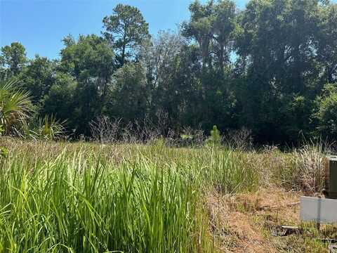 167 LIVE OAK CIRCLE, CRESCENT CITY, FL 32112