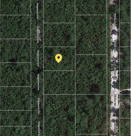 RIDGEWOOD AVE, ORANGE CITY, FL 32763