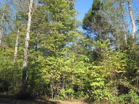 Lot 15 Melmark Acres Trail, Stuart, VA 24171