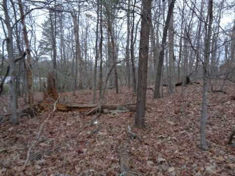 220 Hwy. 220 Bus, Bassett, VA 24055