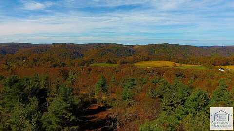 xxx Belcher Mountain Road, Meadows of Dan, VA 24120