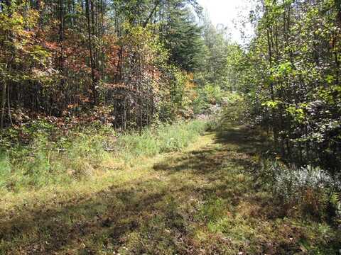 Lot 12 Melmark Acres Trail, Stuart, VA 24171