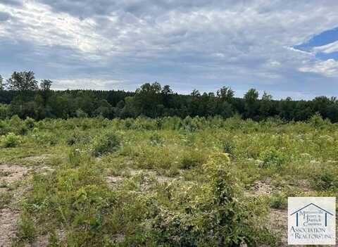 Lot 5 Hubbard Road, Long Island, VA 24569