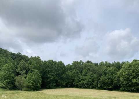 Lot 1 Townsend Road, Martinsville, IN 46151