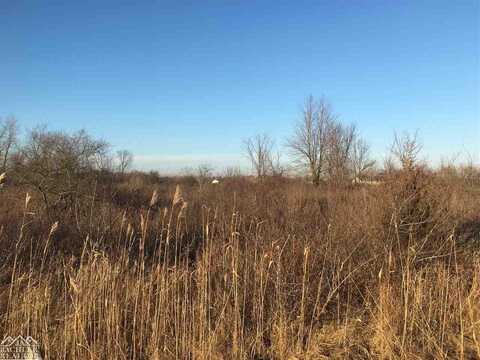 Vacant Marsh, East China, MI 48054