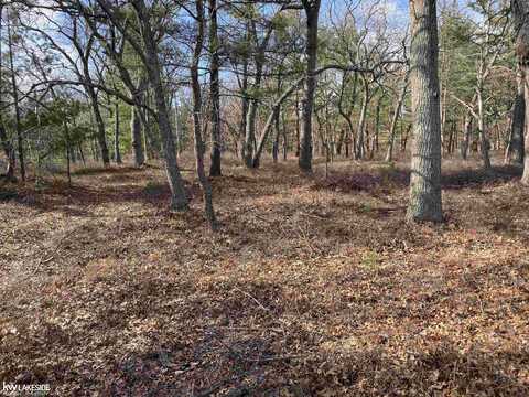 Lot 3 Donny Brook, Caseville, MI 48725