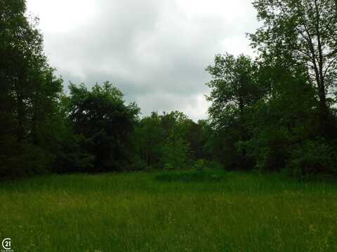 0 Silver Hill Parcel 2, Dryden, MI 48428