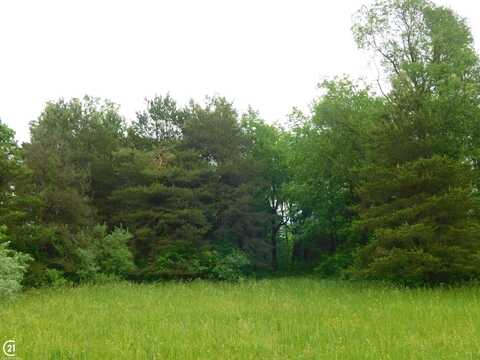 0 Silver Hill Parcel 1, Dryden, MI 48428