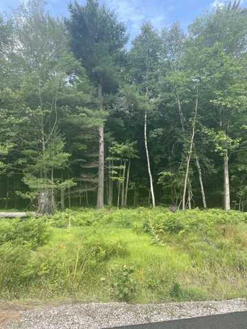 Lot 52 Eagle, Midland, MI 48640