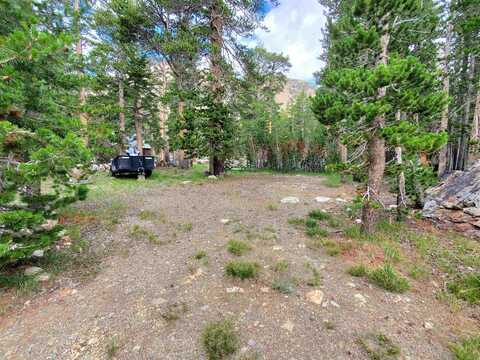 6 Lodgepole Drive, Virginia Lakes, CA 93517