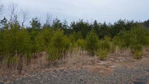 Lot 2 Preserve at Beach Mtn, HAYESVILLE, NC 28904