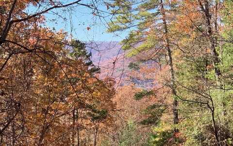 Lot 49 Fires Creek Cove, HAYESVILLE, NC 28904